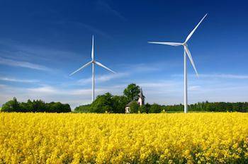 Autism psychologist: Environment and Autism Do Environmental Factors Influence or Cause Autism?