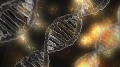 Genetics Plays Outsized Role In Autism >> Genetics Plays Outsized Role In Autism Large Study Shows Kenneth Genetics Plays Outsized Role In Autism >> Genetics Plays Outsized Role In Autism Large Study Shows Kenneth