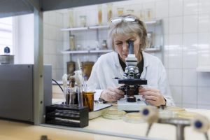 Autism and the gut microbiome